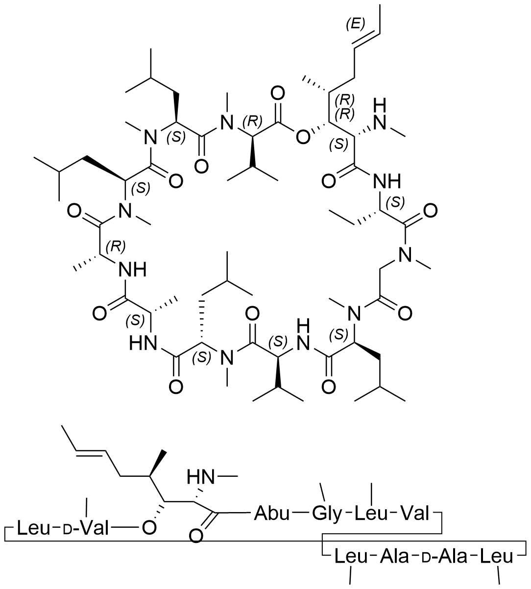 Iso Cyclosporin H