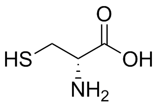 D-Cysteine