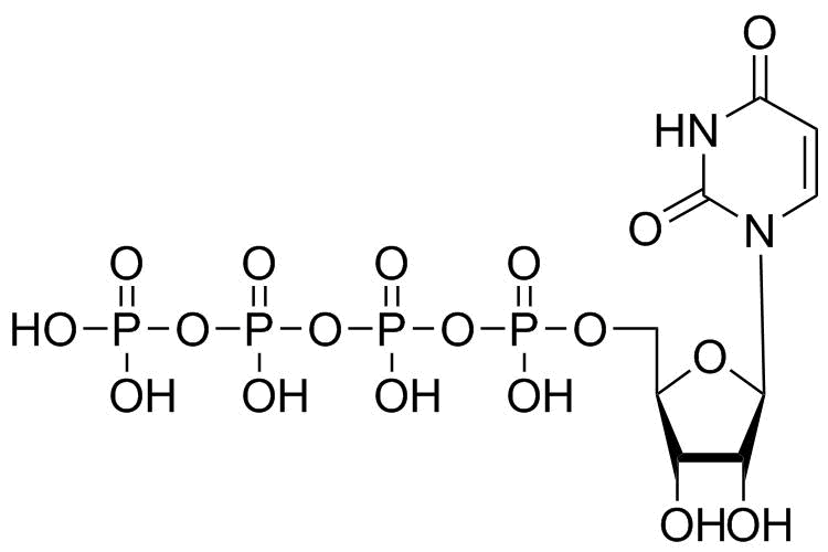 Diquafosol Impurity A