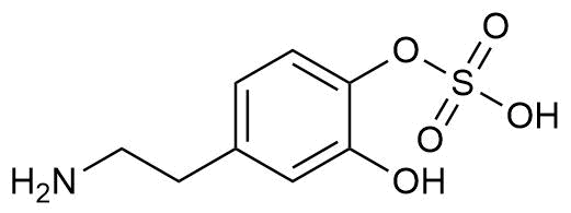 Dopamine 4-O-sulfate