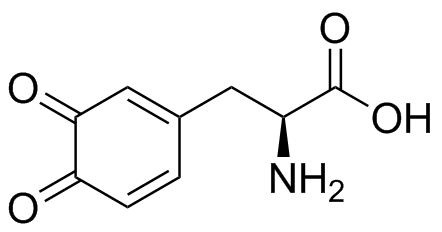 Dopaquinone