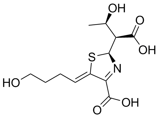 Faropenem Impurity 13