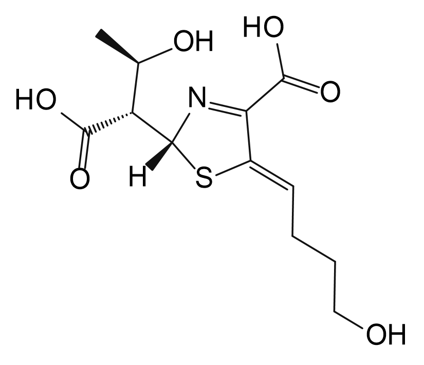 Faropenem Impurity 14