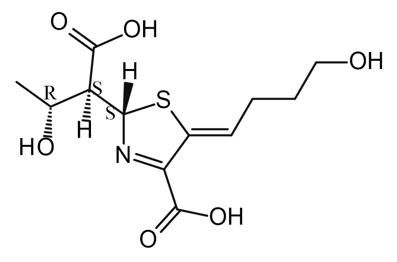 Faropenem Impurity 59