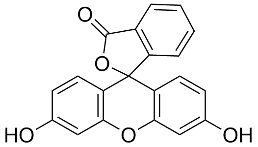 Fluorescein