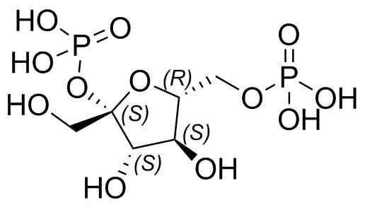 Fructose 2,6-Diphosphate