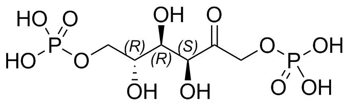 Fructose 1,6-Bisphosphate