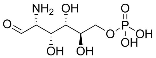 Glucosamine 6-phosphate