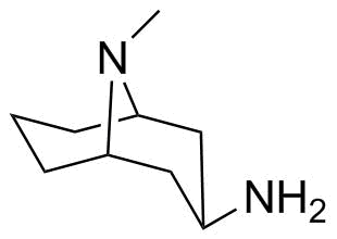 Granisetron Impurity 16