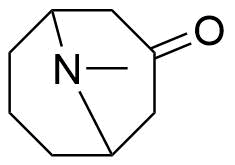 Granisetron Impurity 24