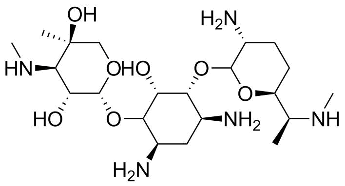 Gentamicin Impurity 1