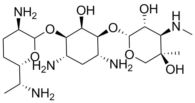 Gentamicin Impurity 2