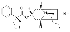 Hyoscine Butylbromide EP Impurity H