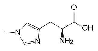 1-Methyl-L-histidine
