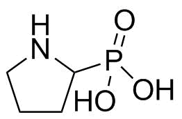 Ibandronic acid Impurity 34