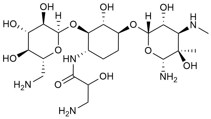 3N-Isepamicin