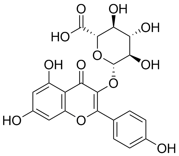 Kaempferol-3-Glucuronide