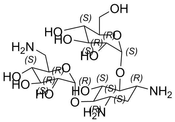 Kanamycin D