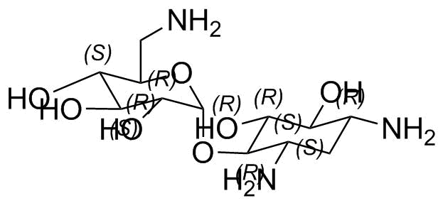 Kanamycin A Related Compound 1