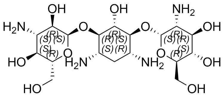 Kanamycin C