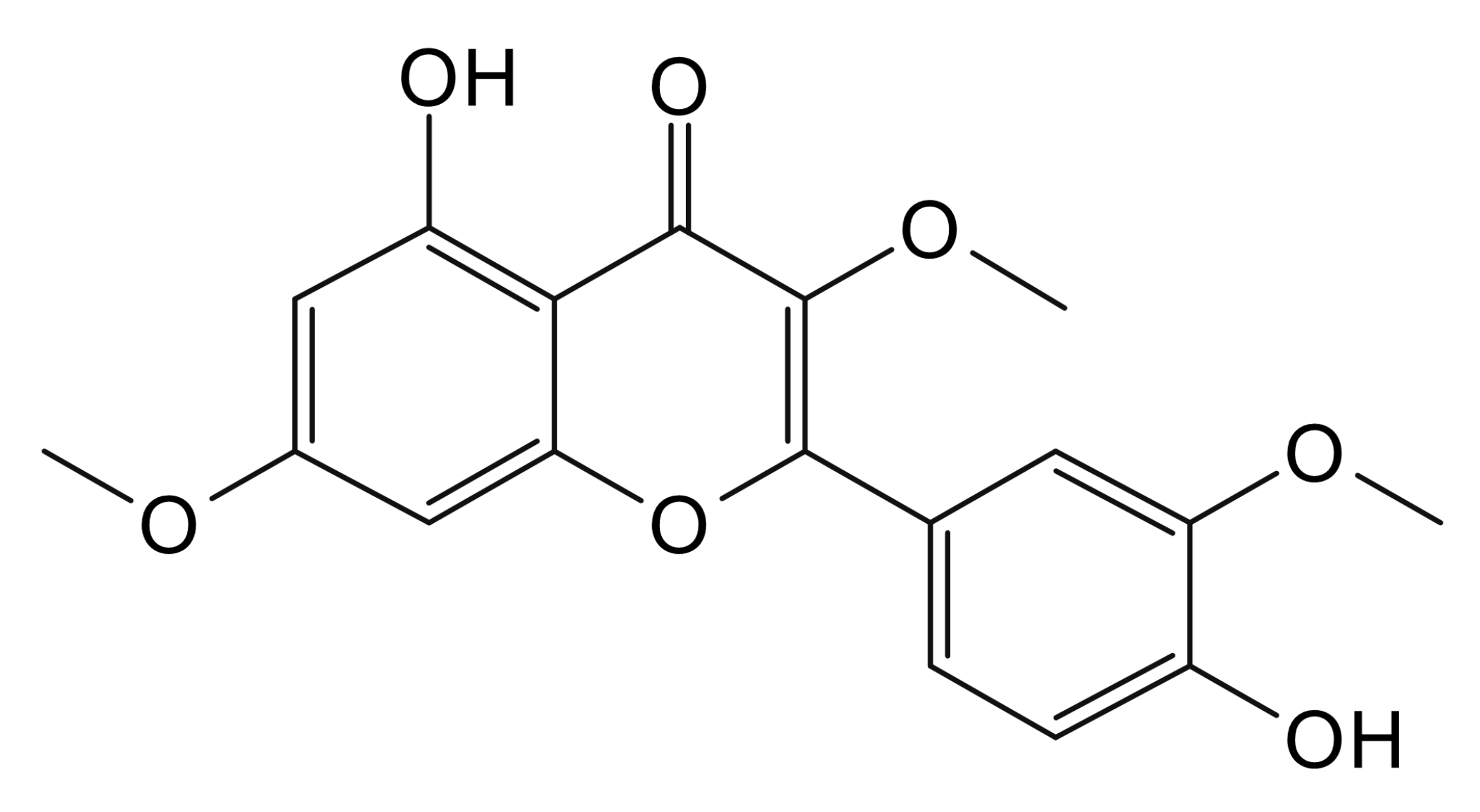Pachypodol