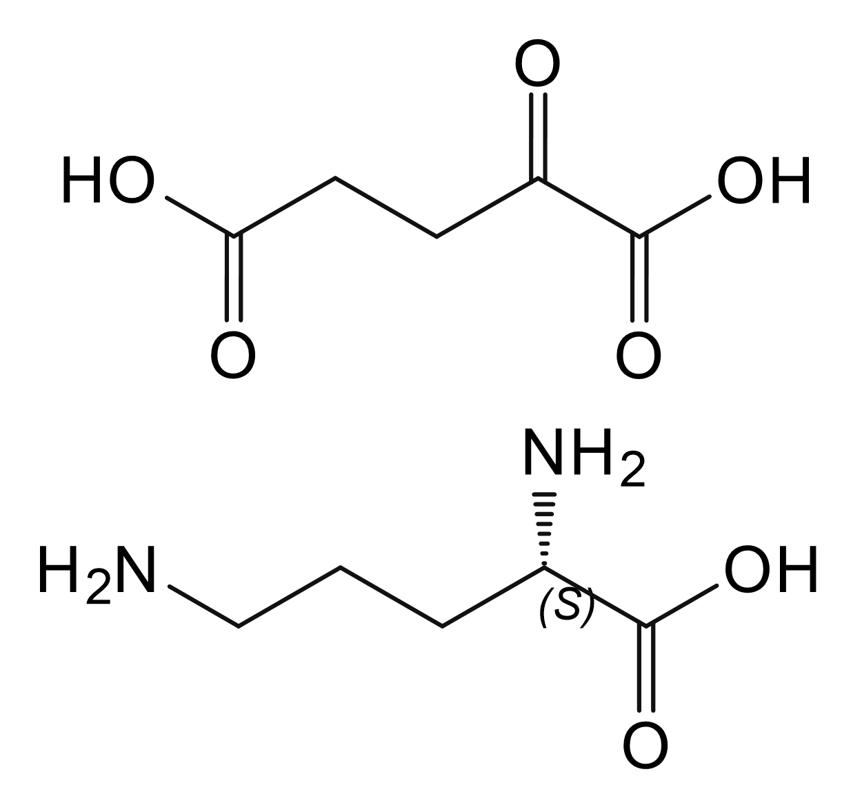 L-Ornithine alpha Ketoglutarate