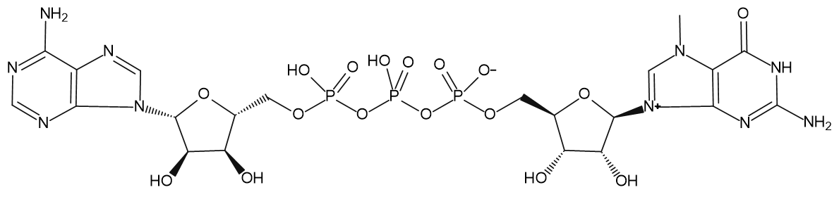 N7-methyl-Guanosine-5'-triphosphate-5'-Adenosine