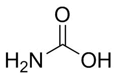 Carbamic Acid