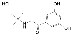 Terbutaline EP Impurity C HCl