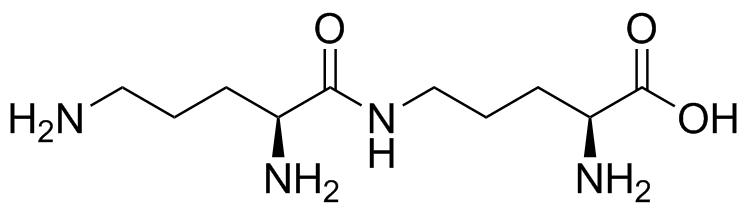 Ornithine Impurity 1