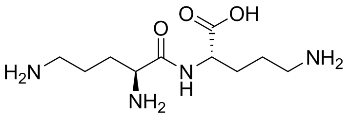 Ornithine Impurity 2
