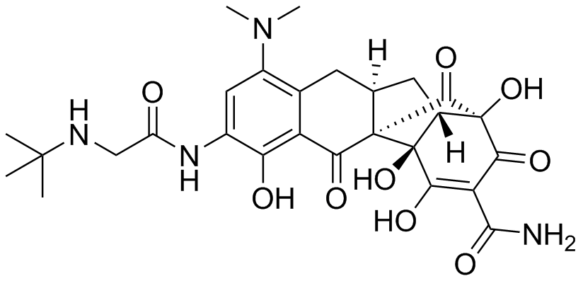 Tigecycline Tricyclic Analog