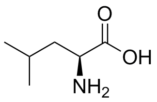 L-Leucine