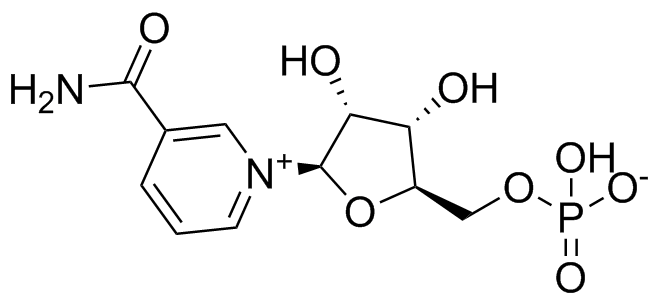 Nicotinamide mononucleotide