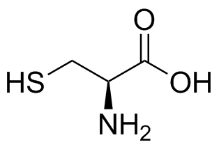 Acetylcysteine EP Impurity B