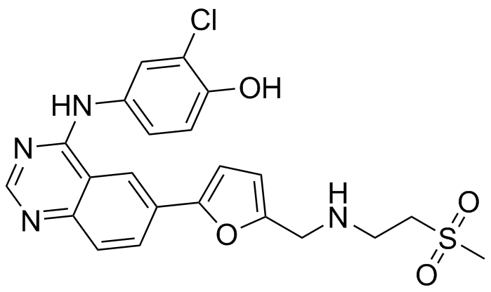 Lapatinib Impurity 1 (O-De(3-fluorobenzyl) Lapatinib)