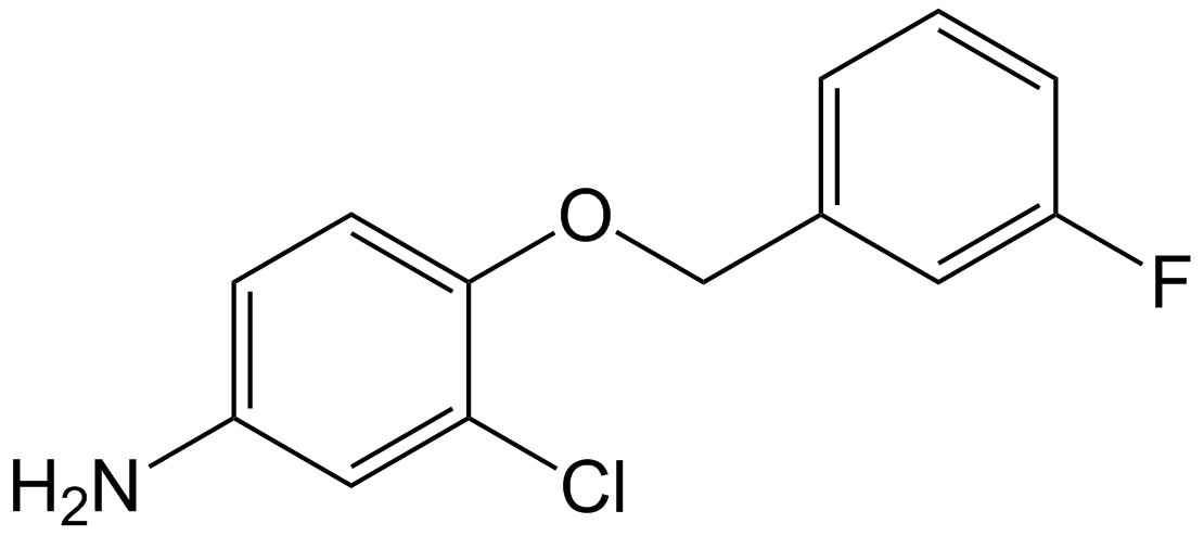 Lapatinib Impurity 10