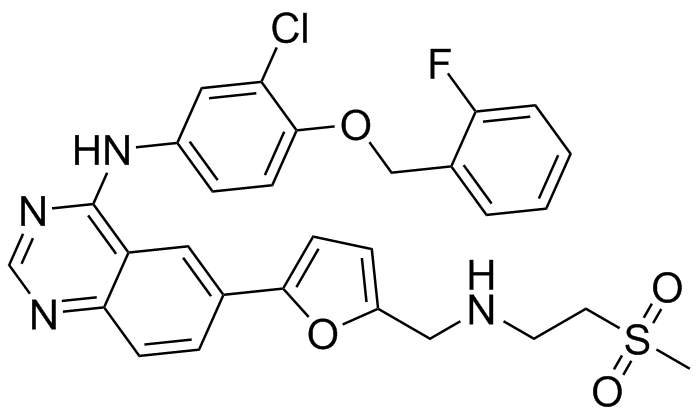 Lapatinib Impurity 5
