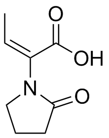 Levetiracetam Dehydro Acid
