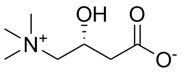 Levocarnitine