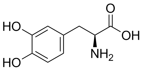 Levodopa