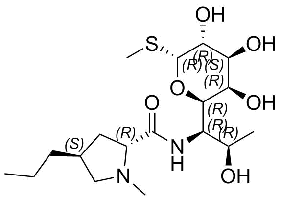 Lincomycin Impurity 41