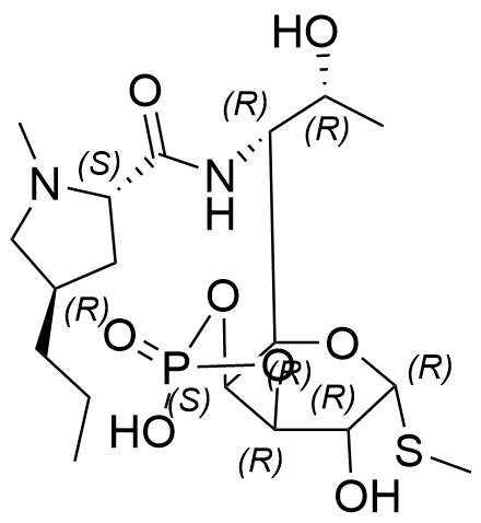 Lincomycin Impurity 47