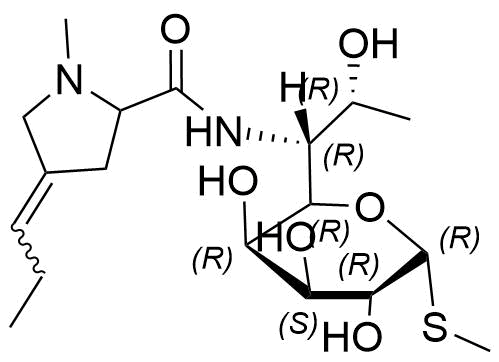 Lincomycin Impurity 48