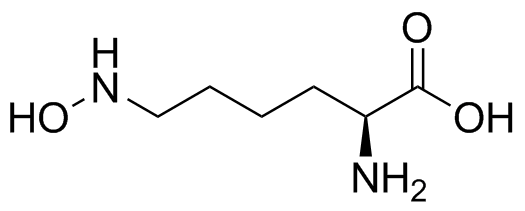Lysine Impurity 15