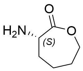 Lysine Impurity 51