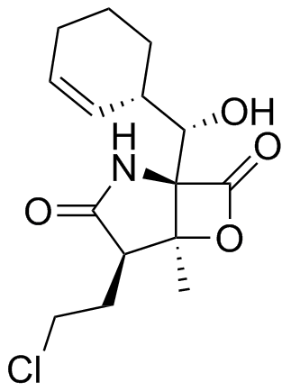 Marizomib