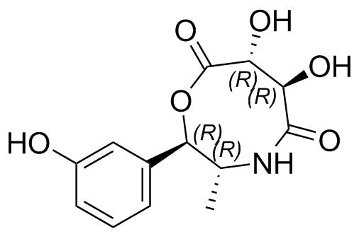 Metaraminol Impurity 62