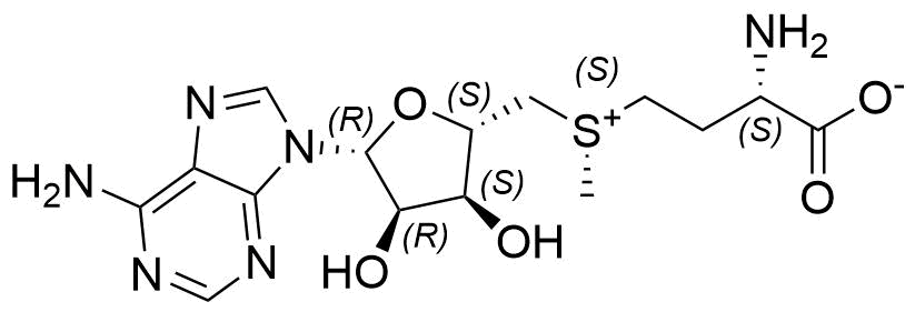 (S)-S-Adenosyl-L-Methionine (S,S-SAM)