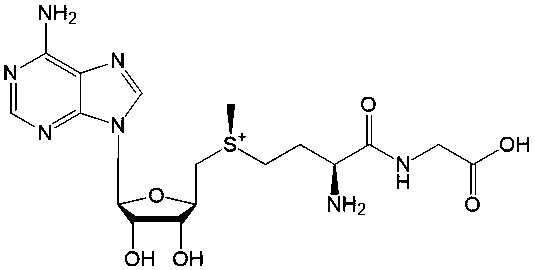 Methionine Impurity 11